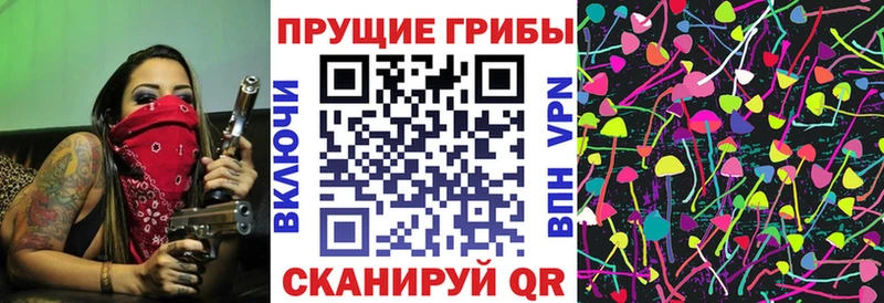 Галлюциногенные грибы Psilocybine cubensis  продажа наркотиков  Снежногорск 